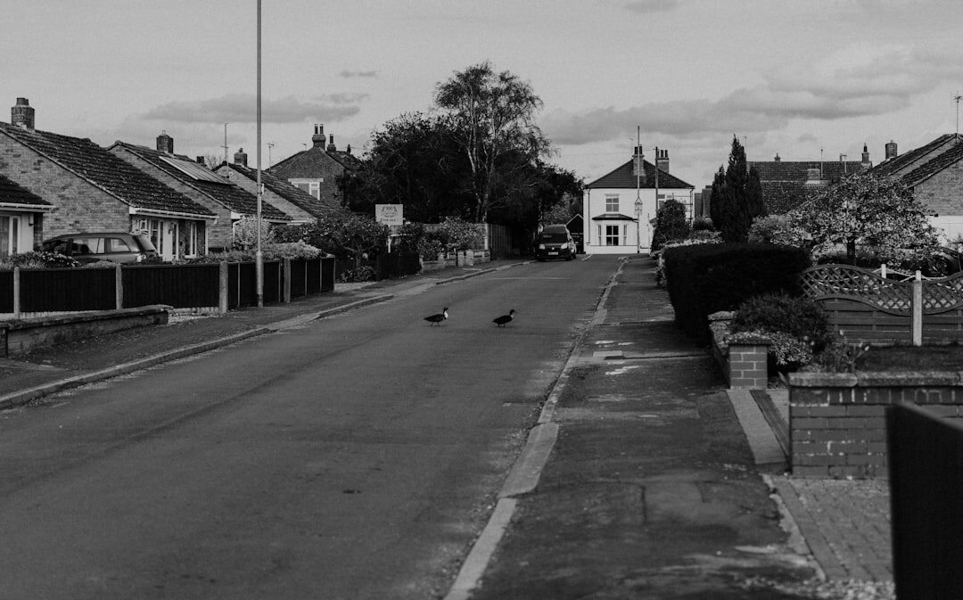 neighborhood life through camera